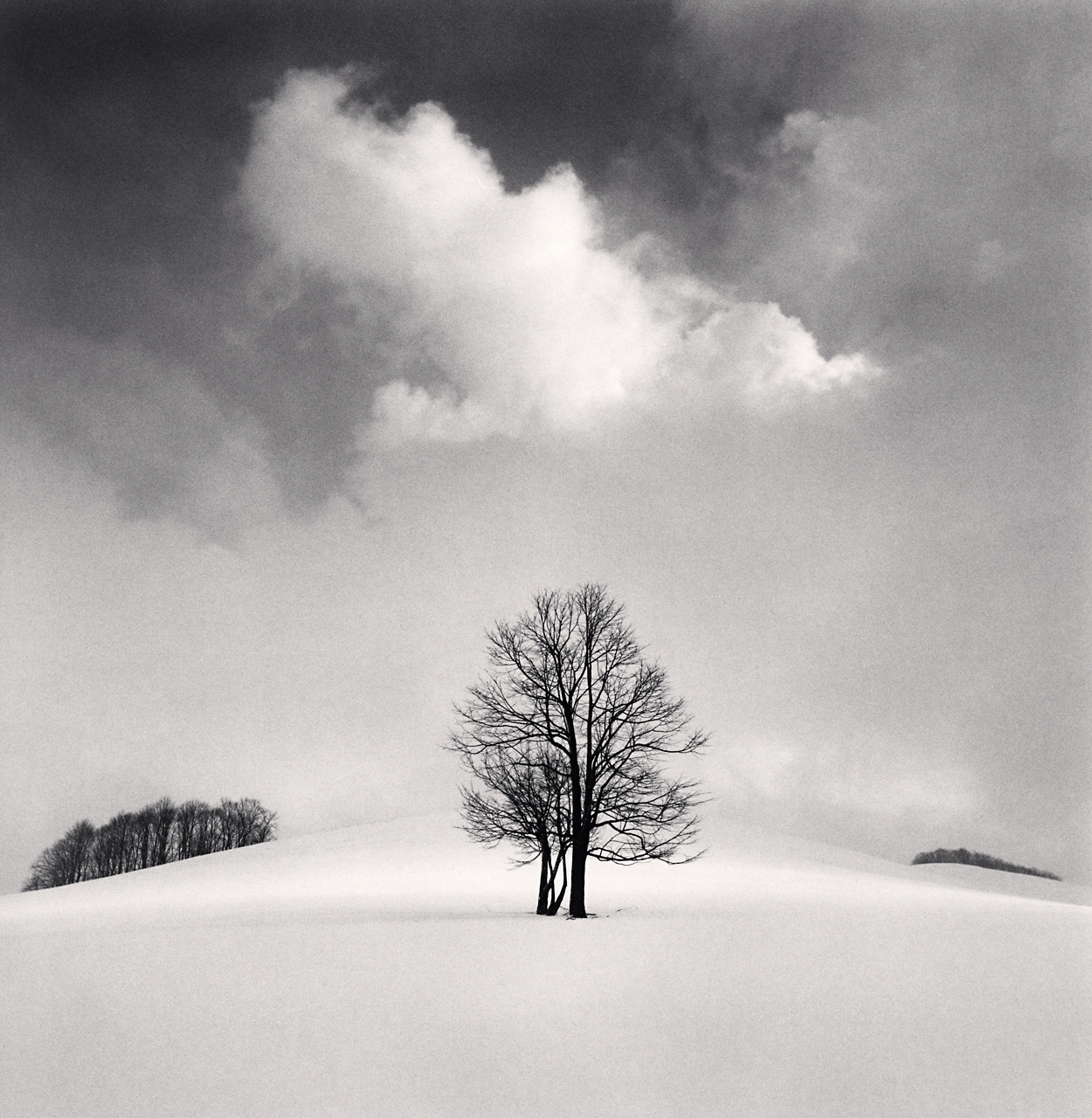 'Percy's Perspective, Okhotsk, Hokkaido, Japan, 2023' By Michael Kenna