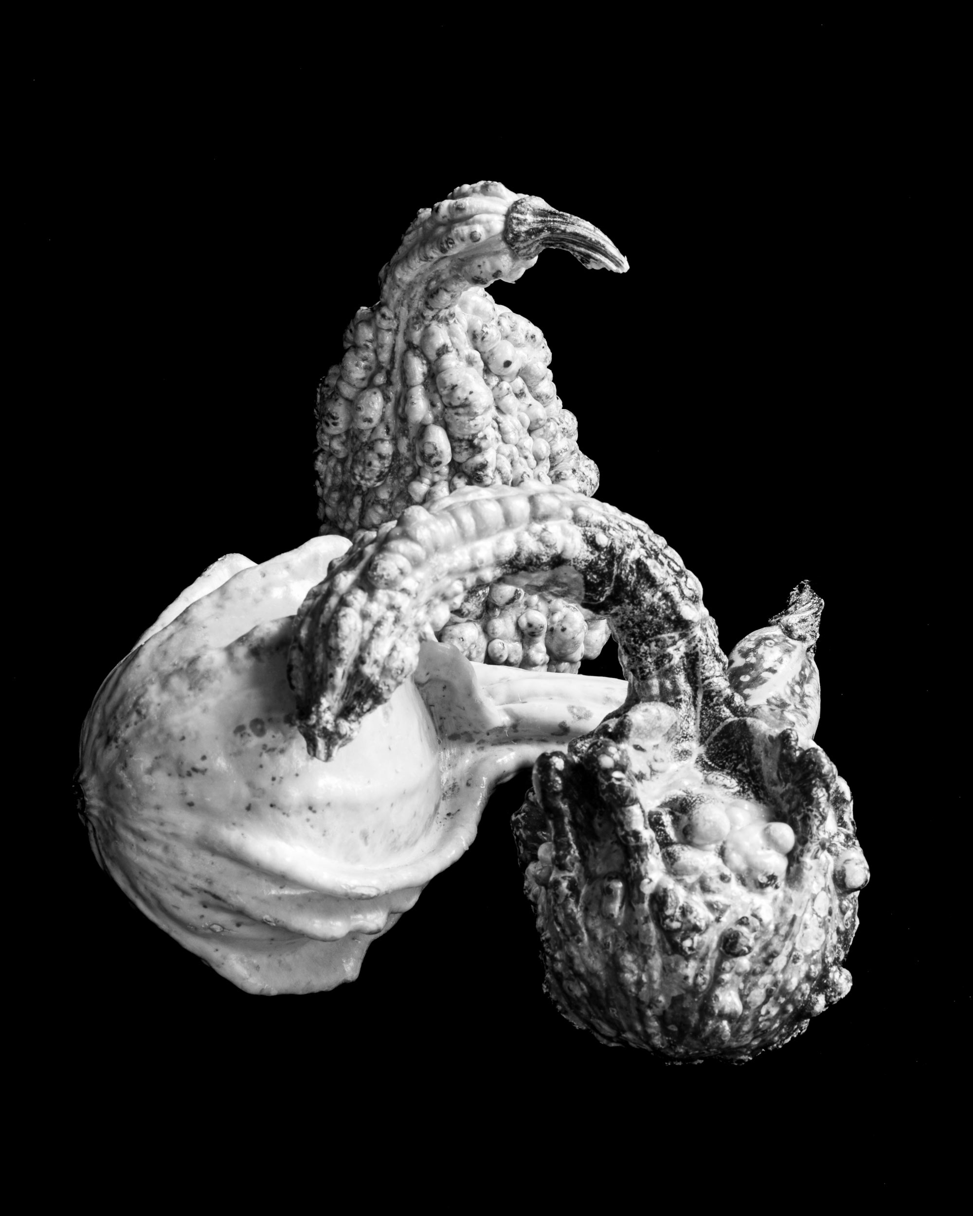 Gourds By Candia Peterson ARPS