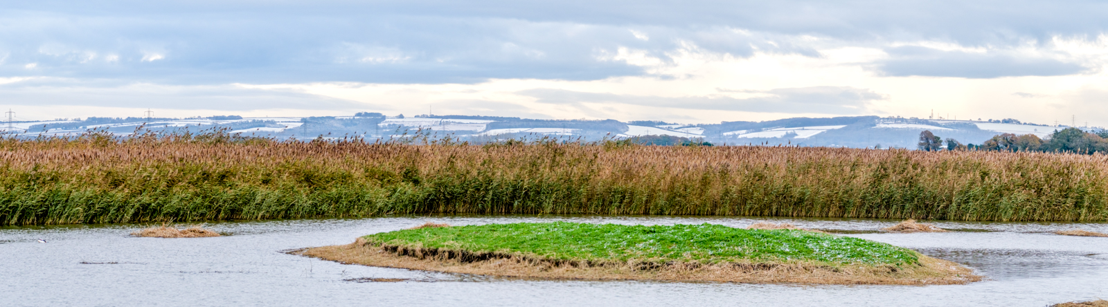 Blacktoft Sands By Ann Miles