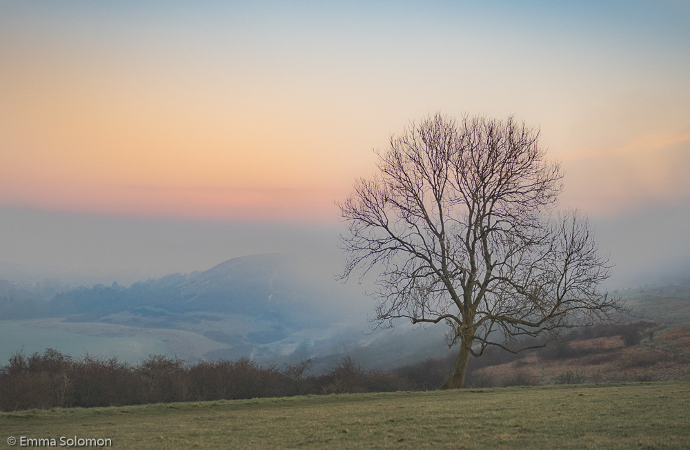 Dunstable Downs 2 Emma Solomon