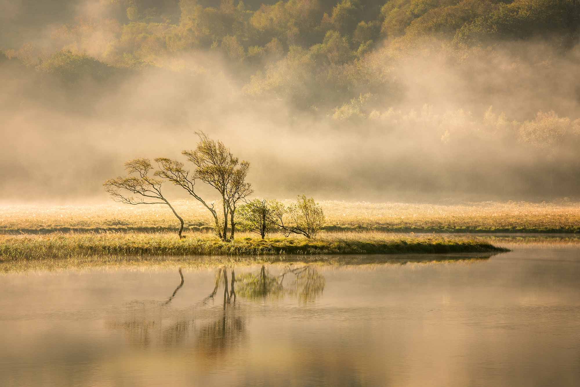 5015071 Wynn Owen Llyn Dinnas In The Mist