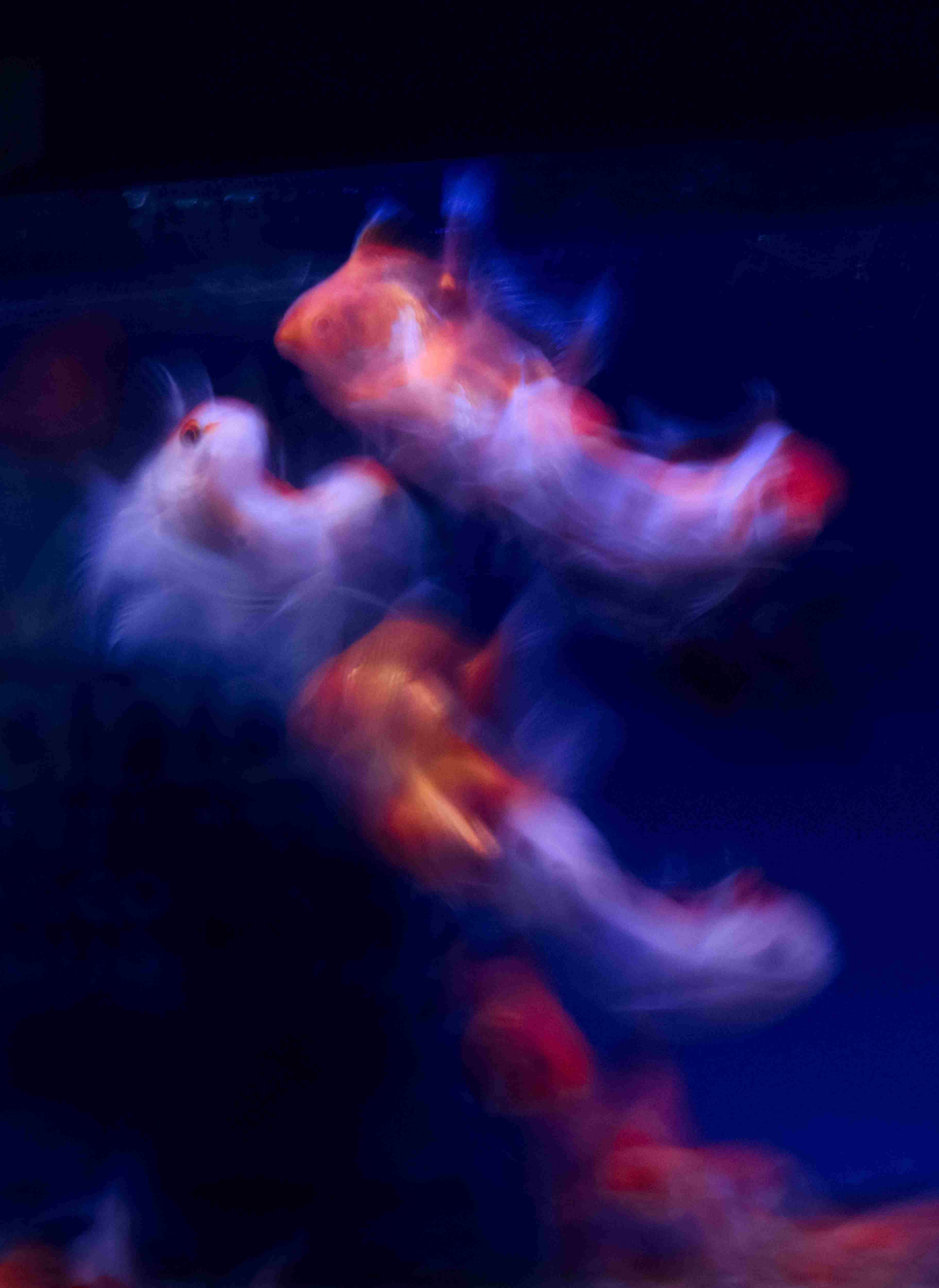 Mythological Nebula I 150Kb