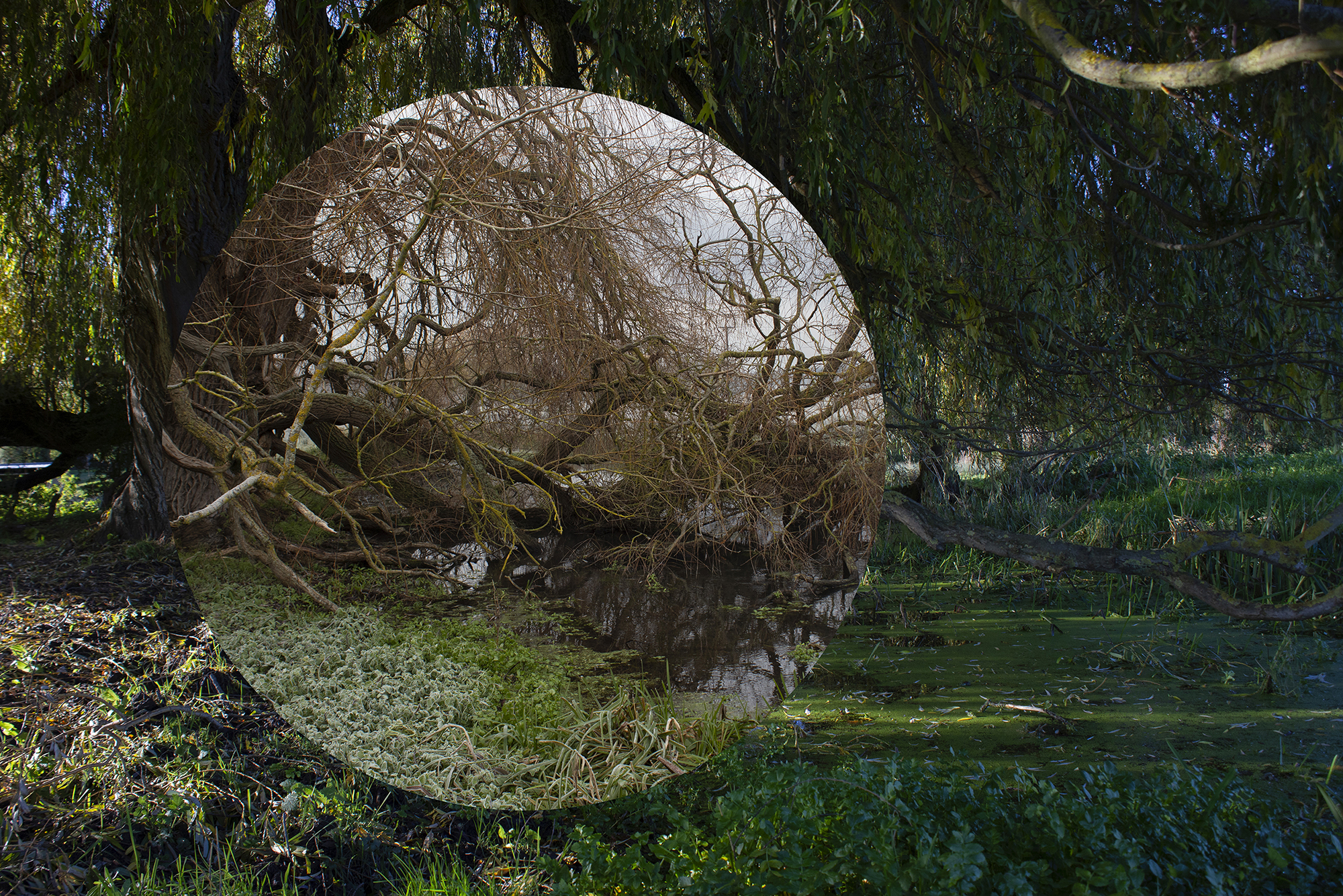 5537705 Katarzyna Zub The Rhythm Of Change