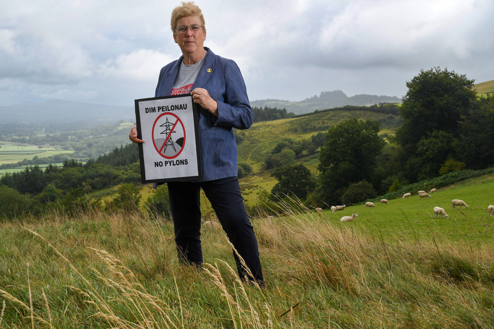 Ann Davies MP by Anna Dabrowska