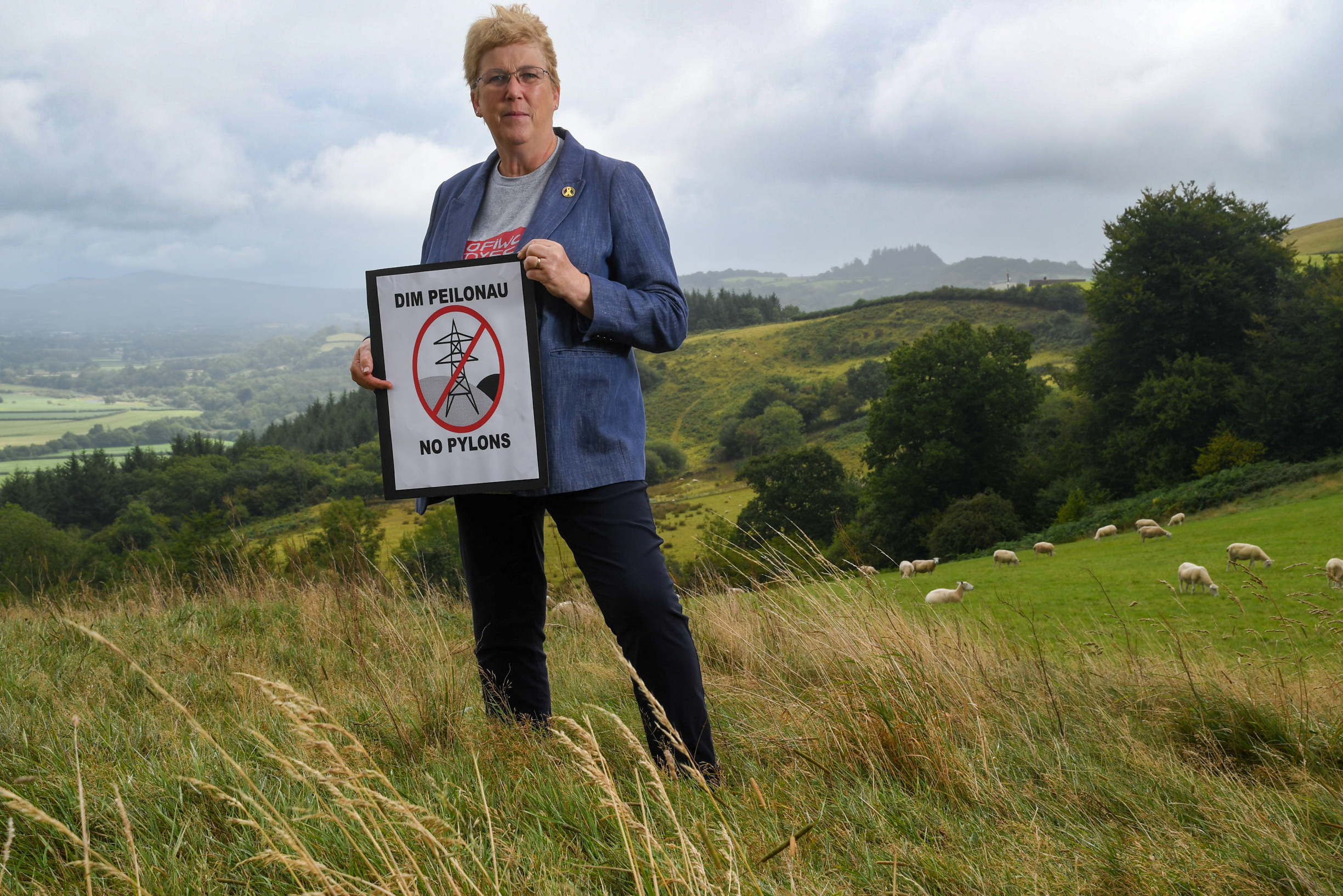 Ann Davies MP by Anna Dabrowska