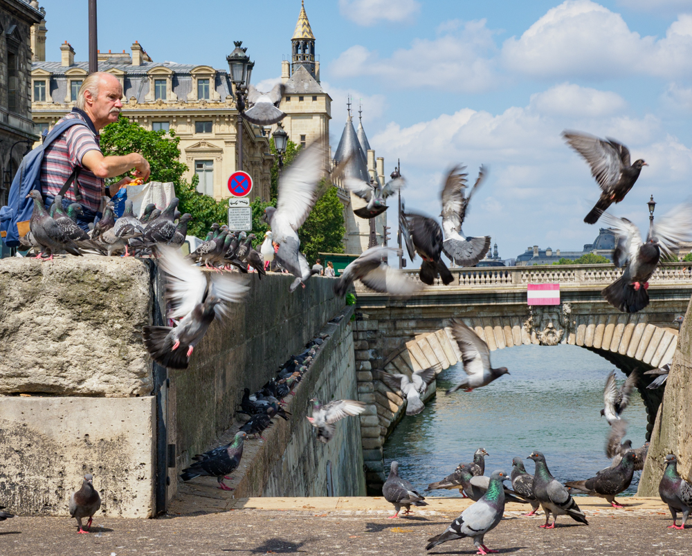Pigeon Man, The Seine, Paris by Nigel Pinsharp