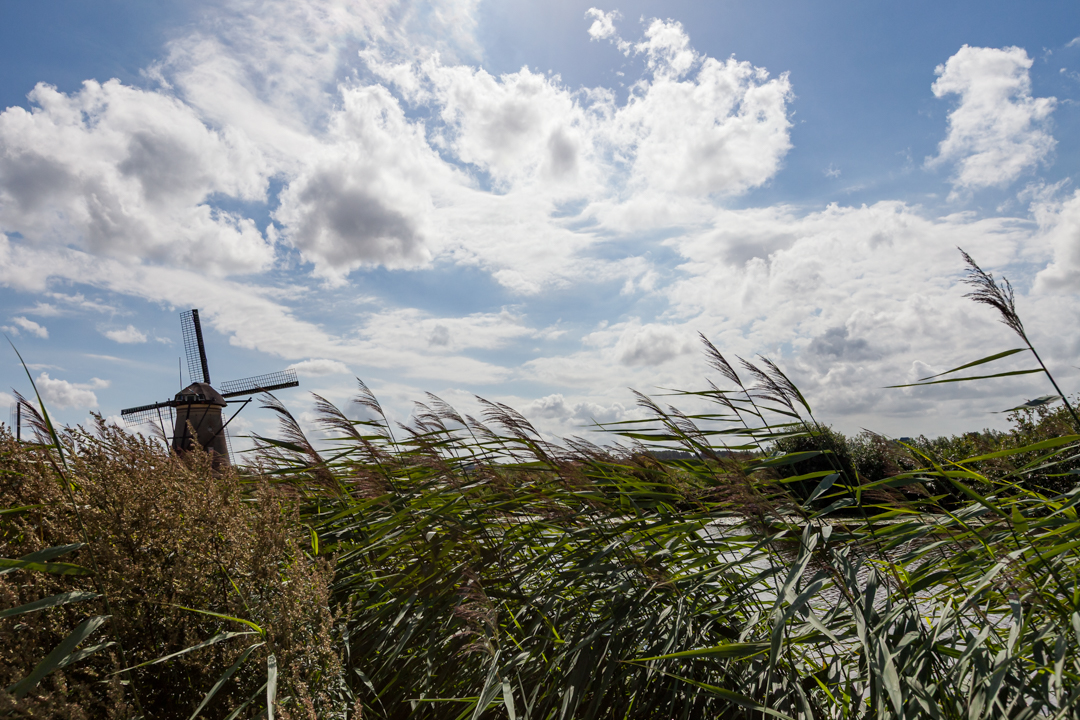 Kinderdijk 2 Sm © Carol Olerud FRPS