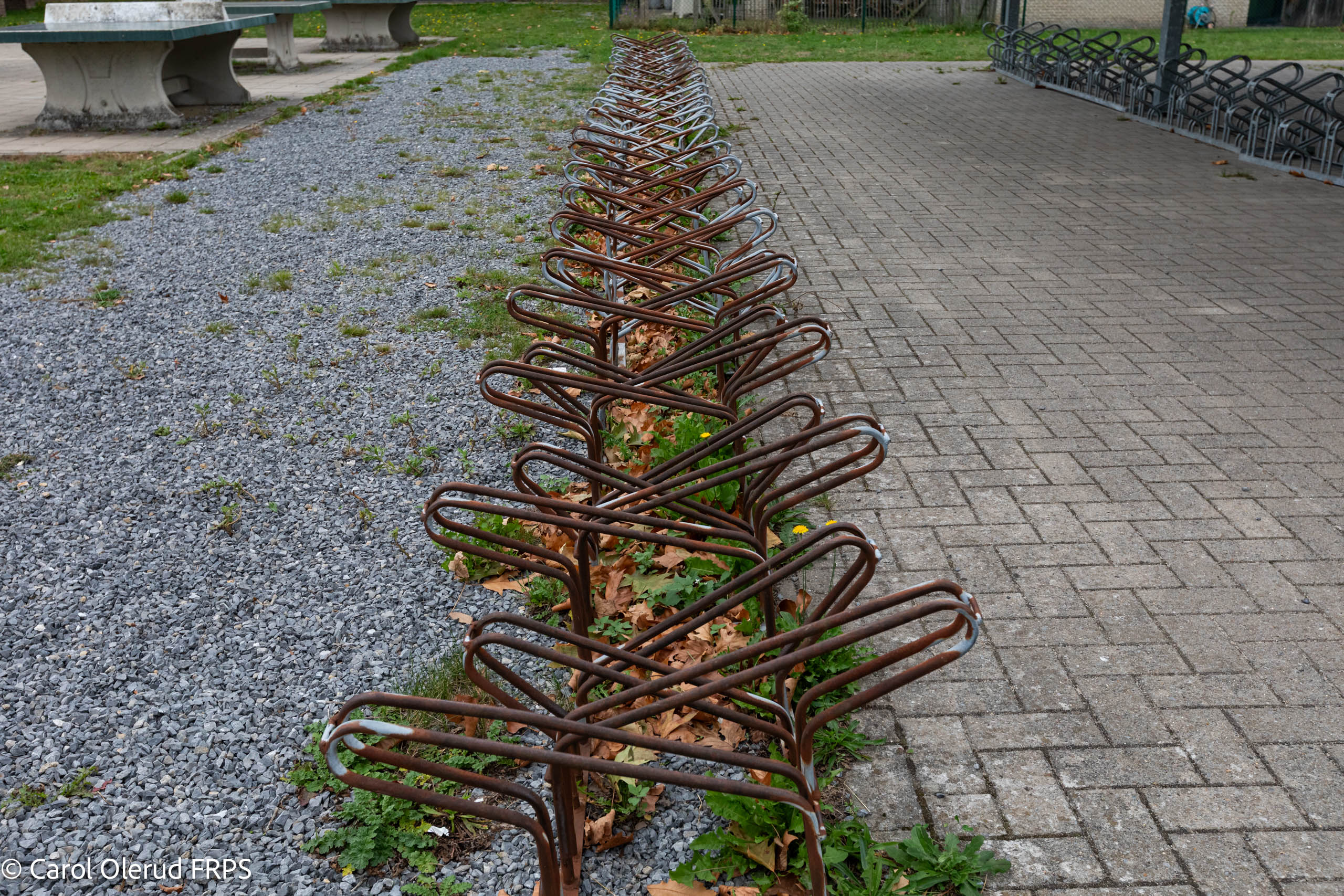 Traces Of People In Pelt © Carol Olerud FRPS 7