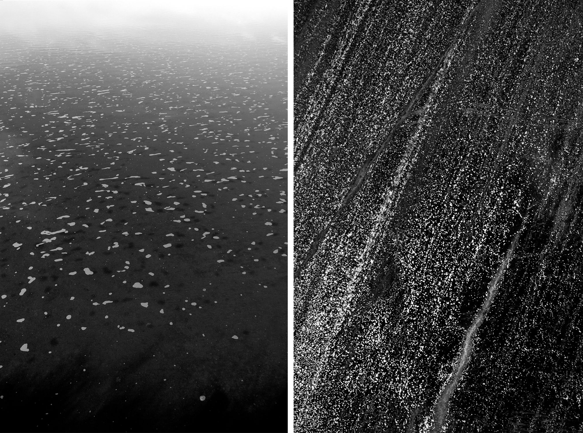 Born Of The Best Parents Comp 01