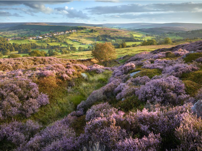 Joe Cornish Hon FRPS - Castleton - Westerdale