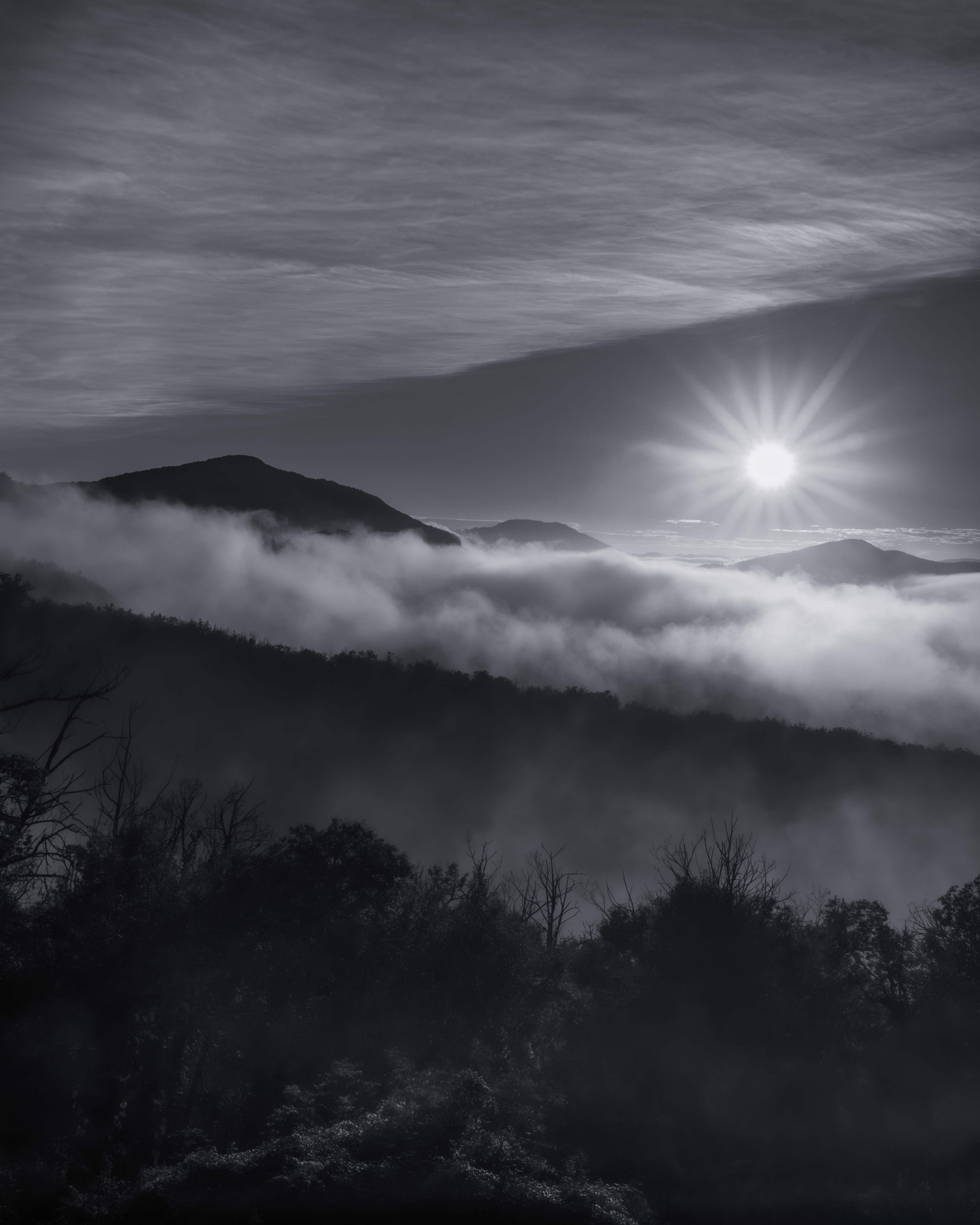 RPS Licentiate Presentation Panel 02