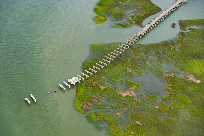 5522933 Aya Okawa Bridge To Years Past