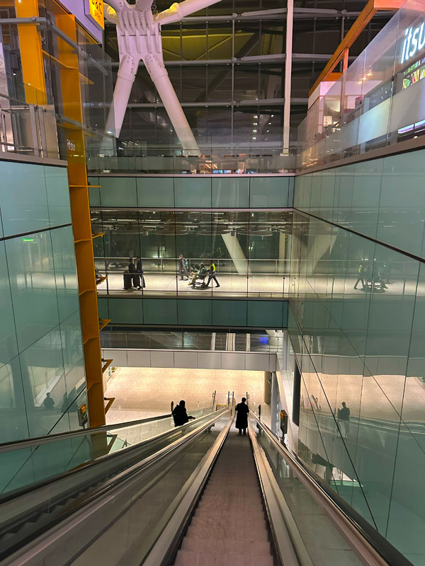 Charlie, Ringwood Junior School