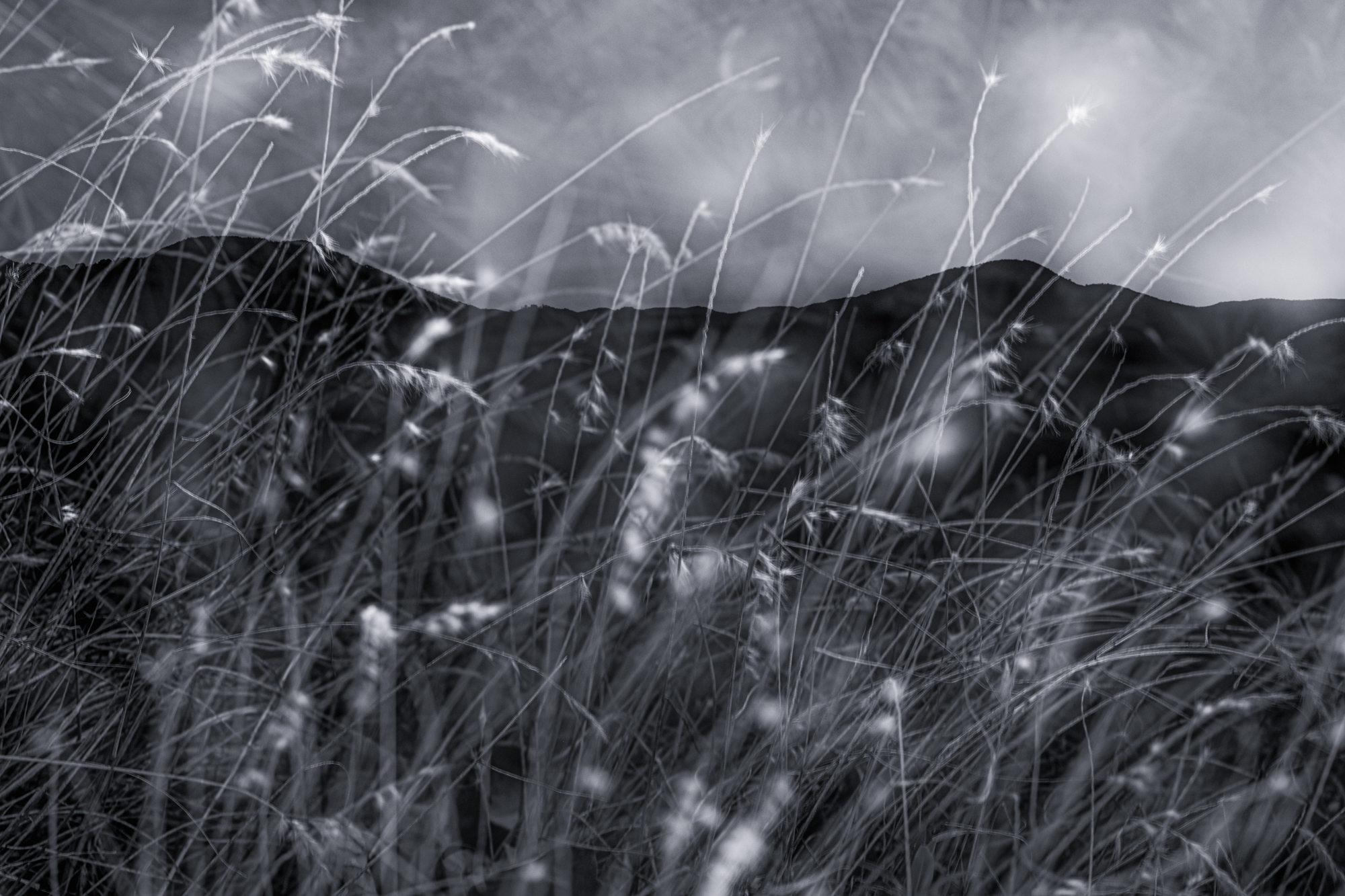 1. Lead Image ©Louise Sayers 01