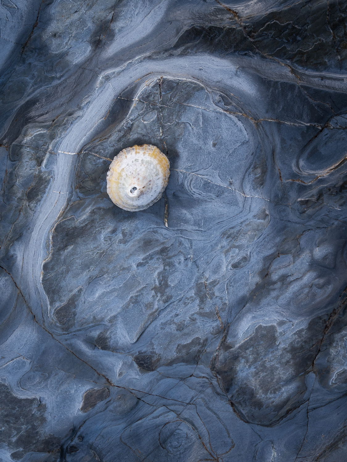 CORNWALL GX8 1080250