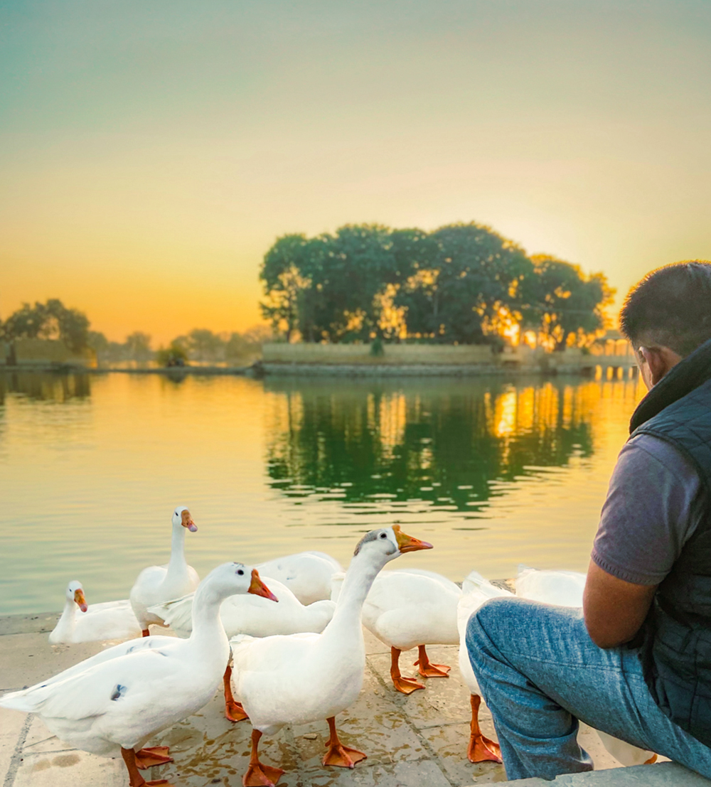 Catching The Golden Hour With His Feathered Companions, Jodhpur, Rajasthan, India by 