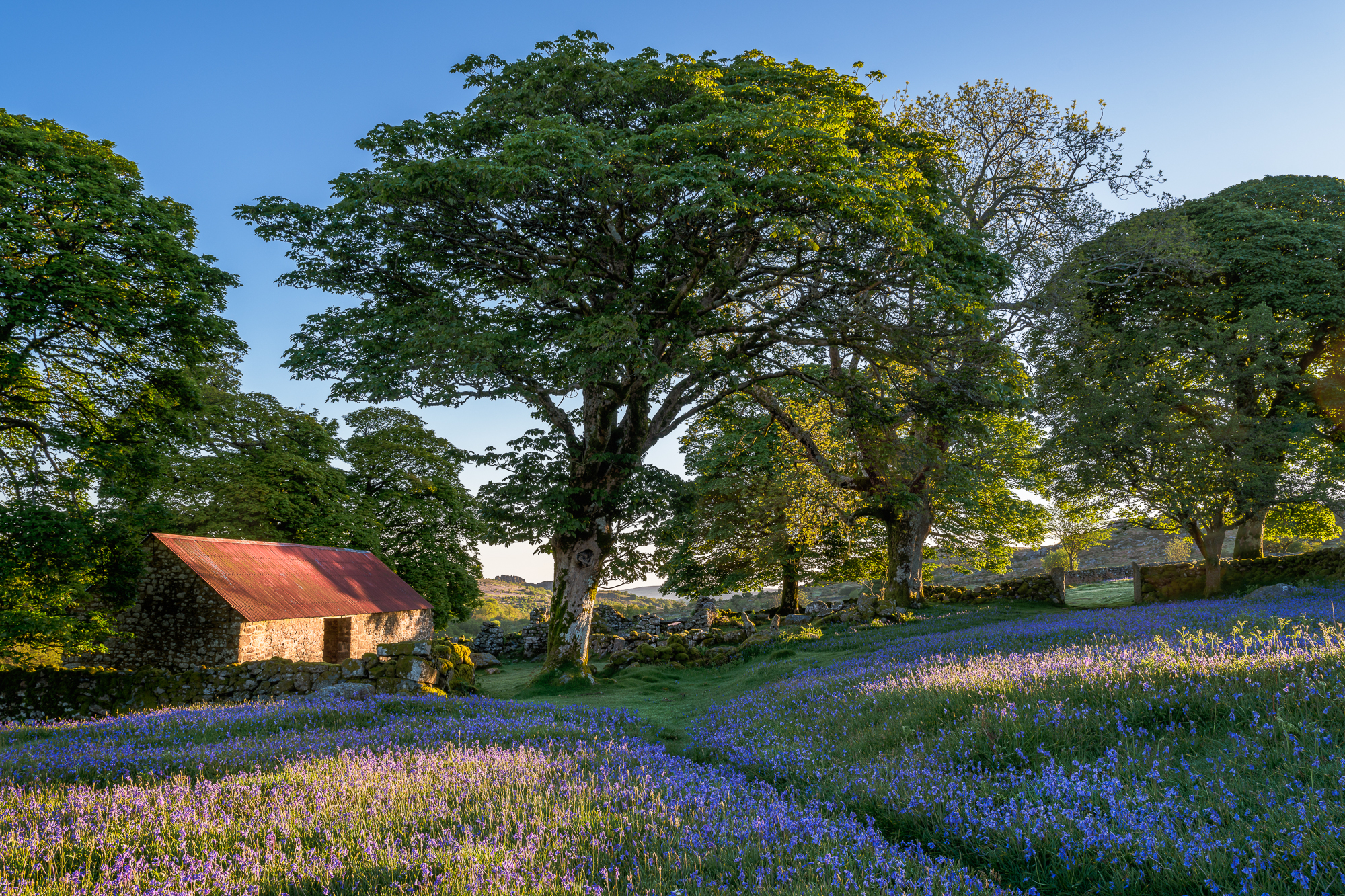 Emsworthy Morning