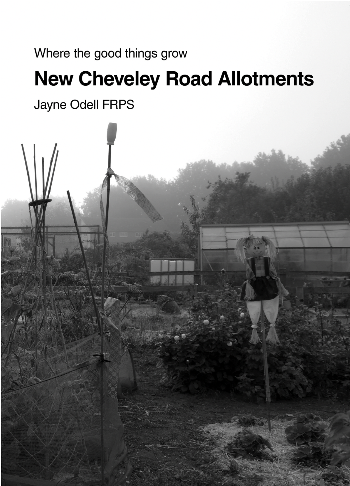 Screenshot 2026 02 24 At 16.45.40