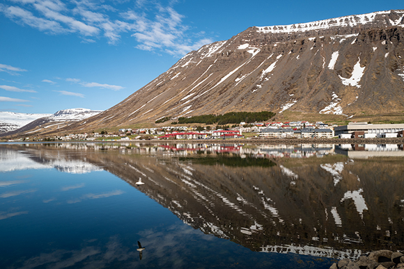 Icelandic Morning