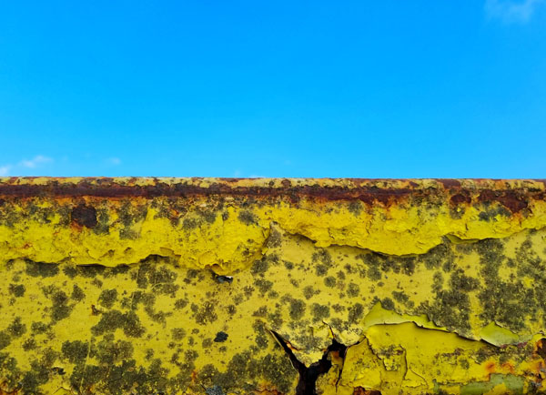 Jo, Upper Shirley High School