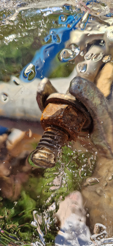 Theo, Avonwood Primary School