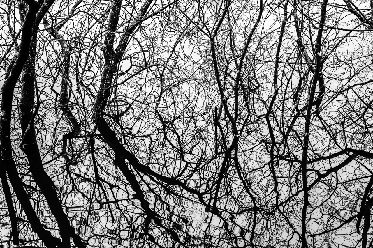 L1010102 Edit 2 Large