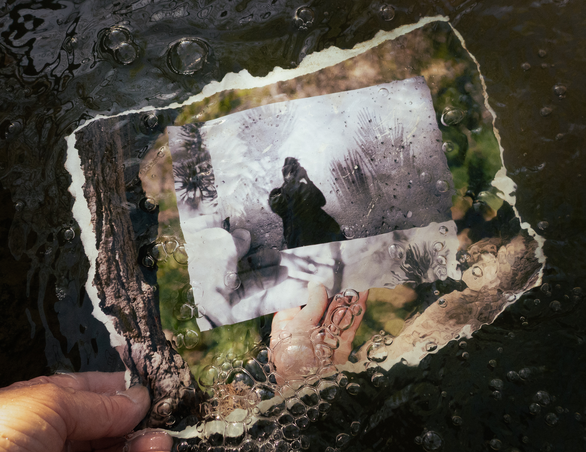 5568039 Caroline Fraser I Am Where I Am