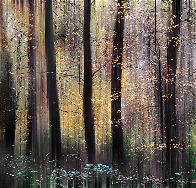 Light Through The Trees By Valerie Walker ARPS