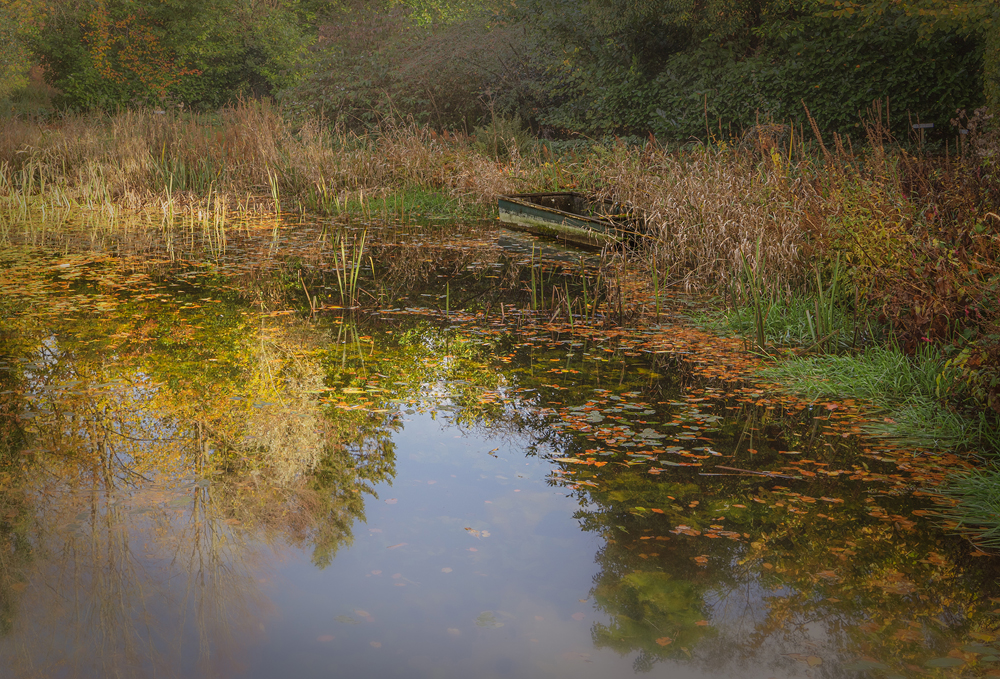 Week 2 Reflection Of Autumn