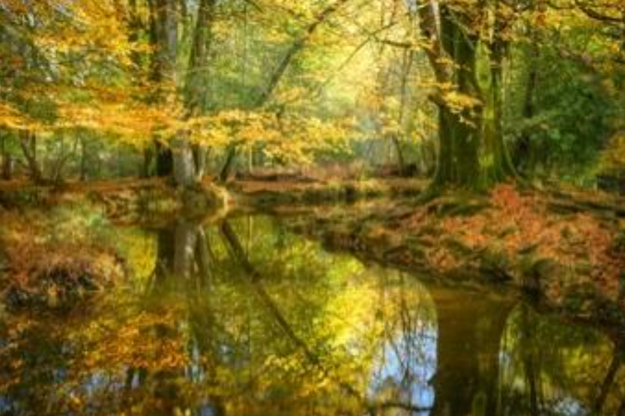 Paul Mitchell — sample work