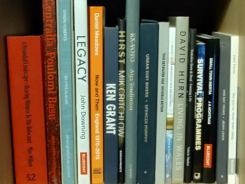 On The Bookshelf 500X375