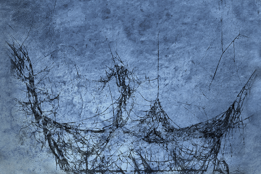 Cobweb In The Garage by Prem Muthu (USA)