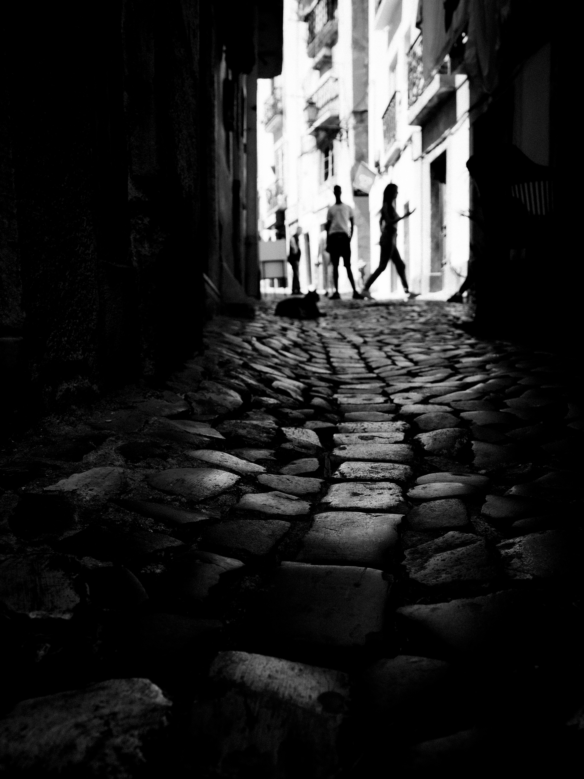 Alfama Laneway By Kate Dunlop