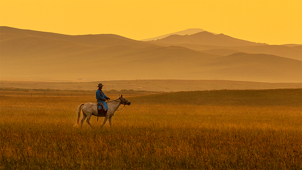 The Lone Ranger, Inner Mongolia, China by Viren Bhatia