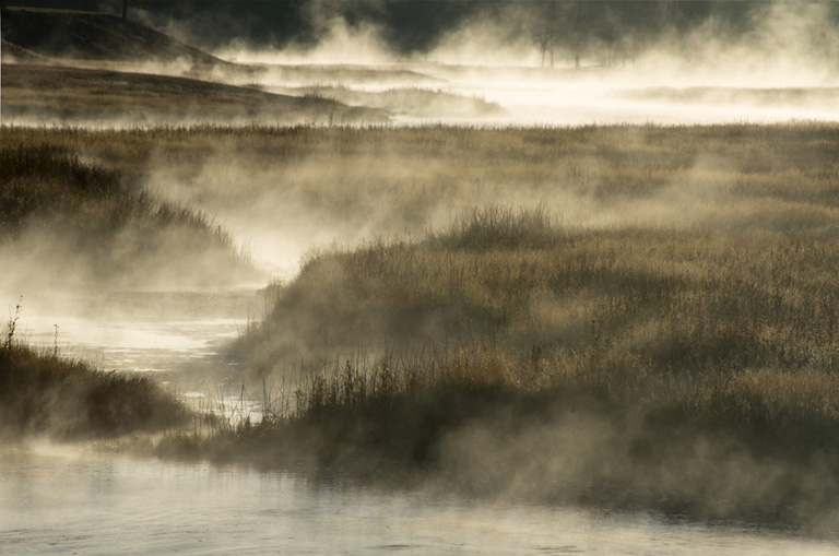 Tonvanderlaan Card LRPS 09