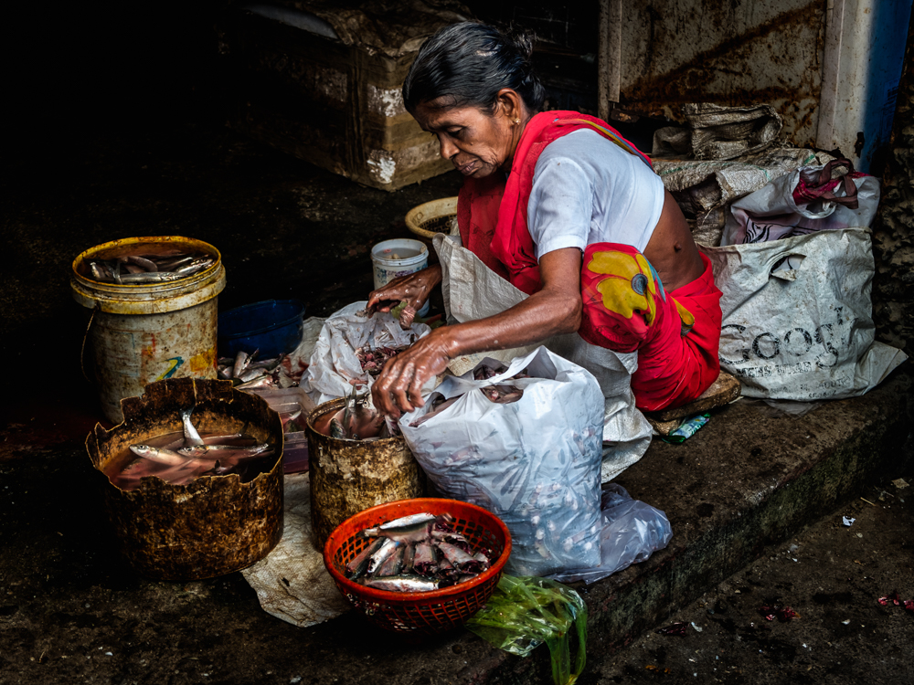 Fish Market, Cochin, Kerala