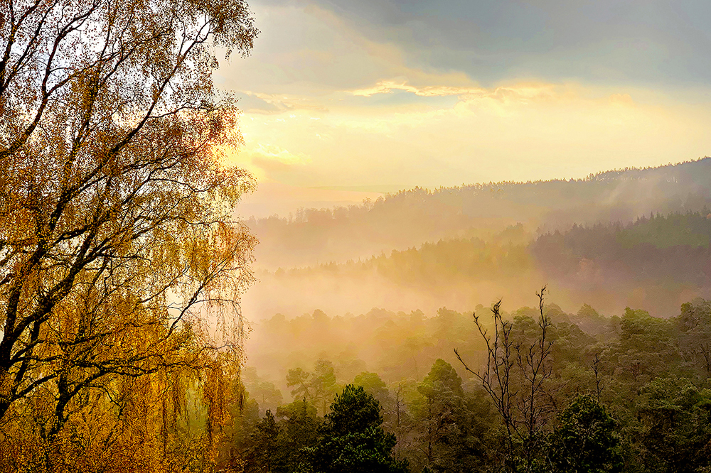 Autumn in Glen Affric