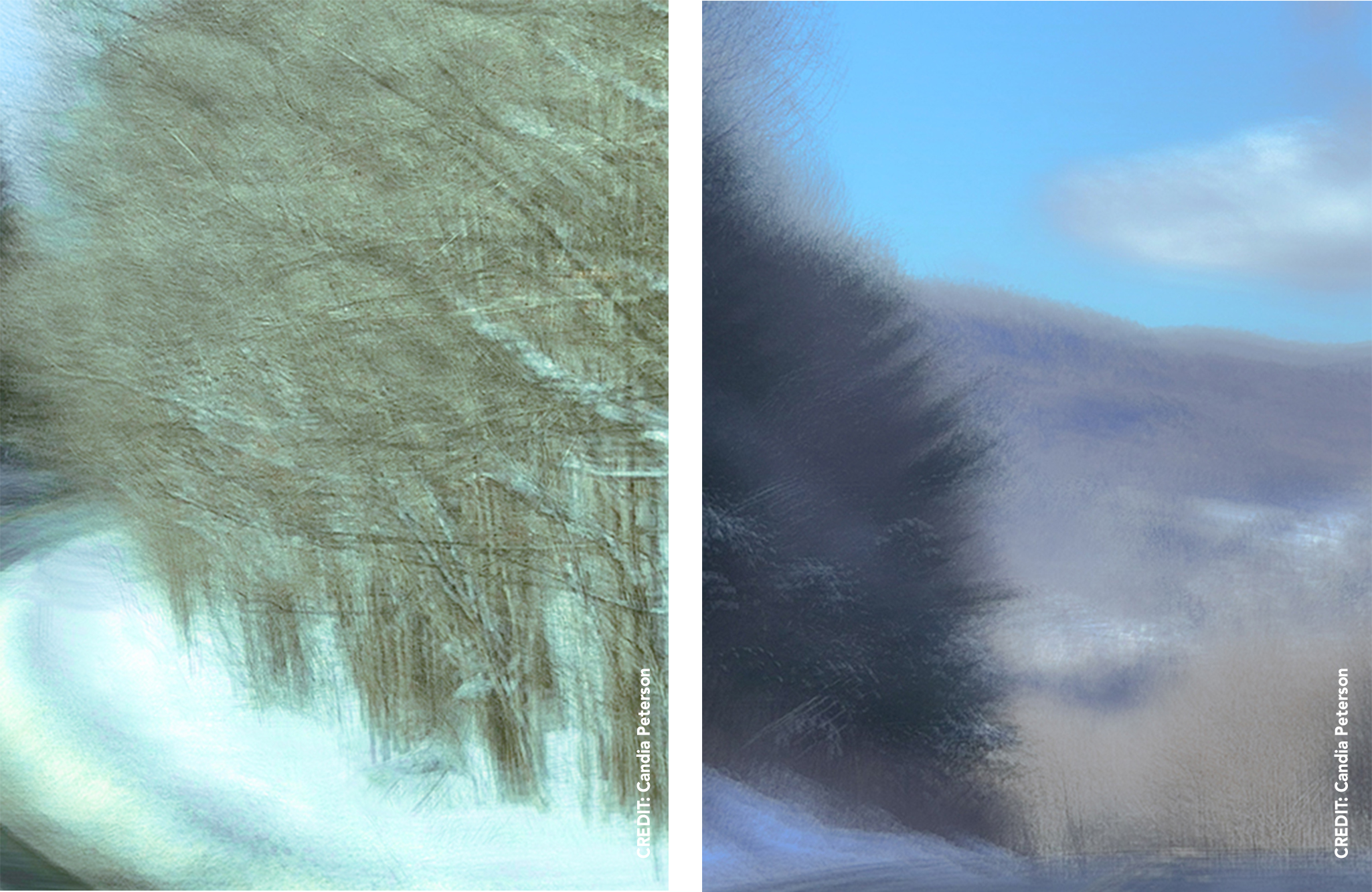 Around We Go and The Final Descent by Candia Peterson