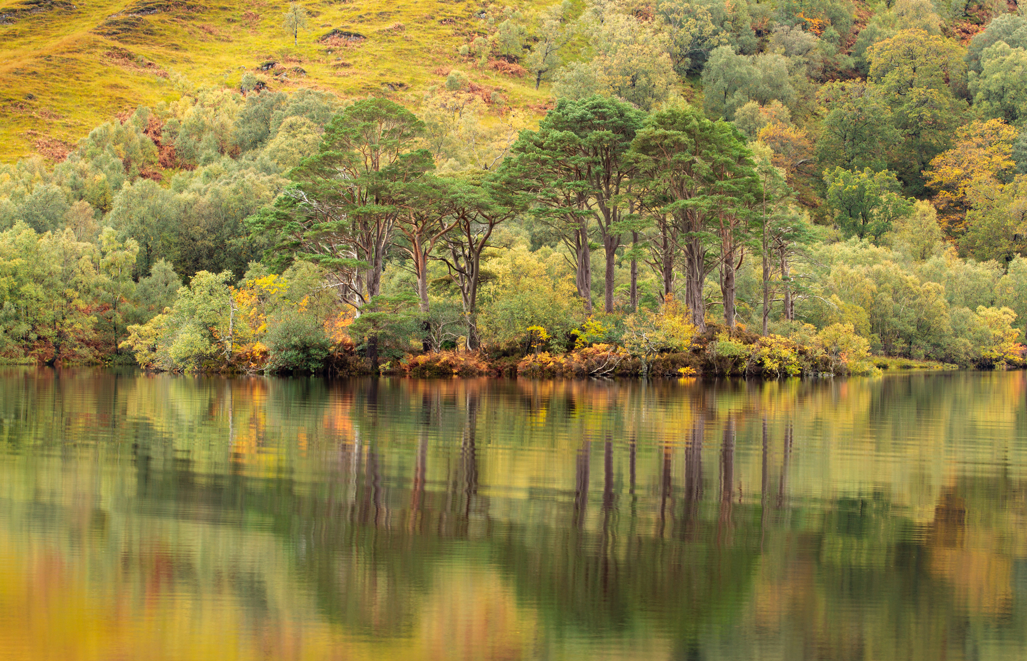 Reflection On A Dreich Day Howard Klein LRPS