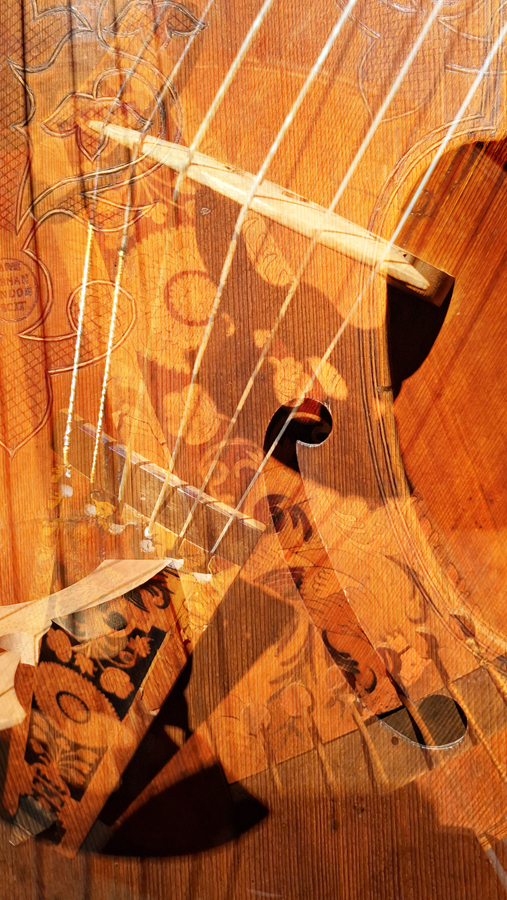 2604 Janet Turnbull Violin For Web