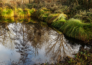 Gerry Phillipson ARPS 13