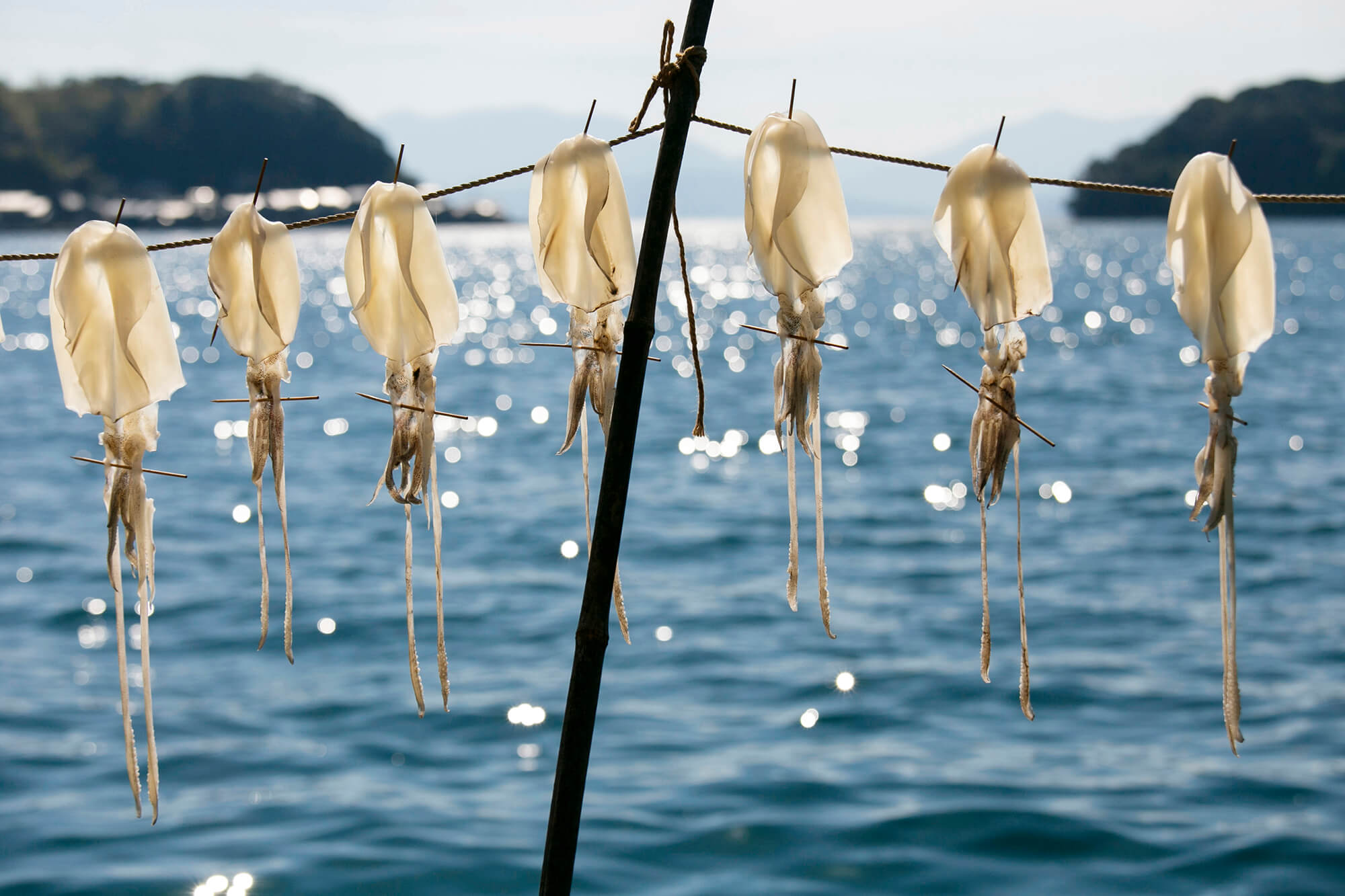 4 Cream Of The Crop Albert Gonzalez Ine Fishing Village, Kyoto, Japan Hi Res