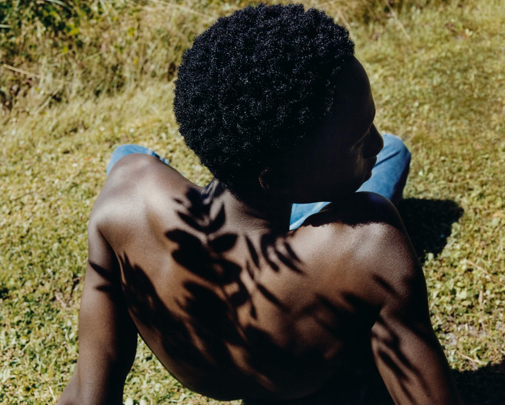 'Shine, 2024' By Tyler Mitchell Honfrps