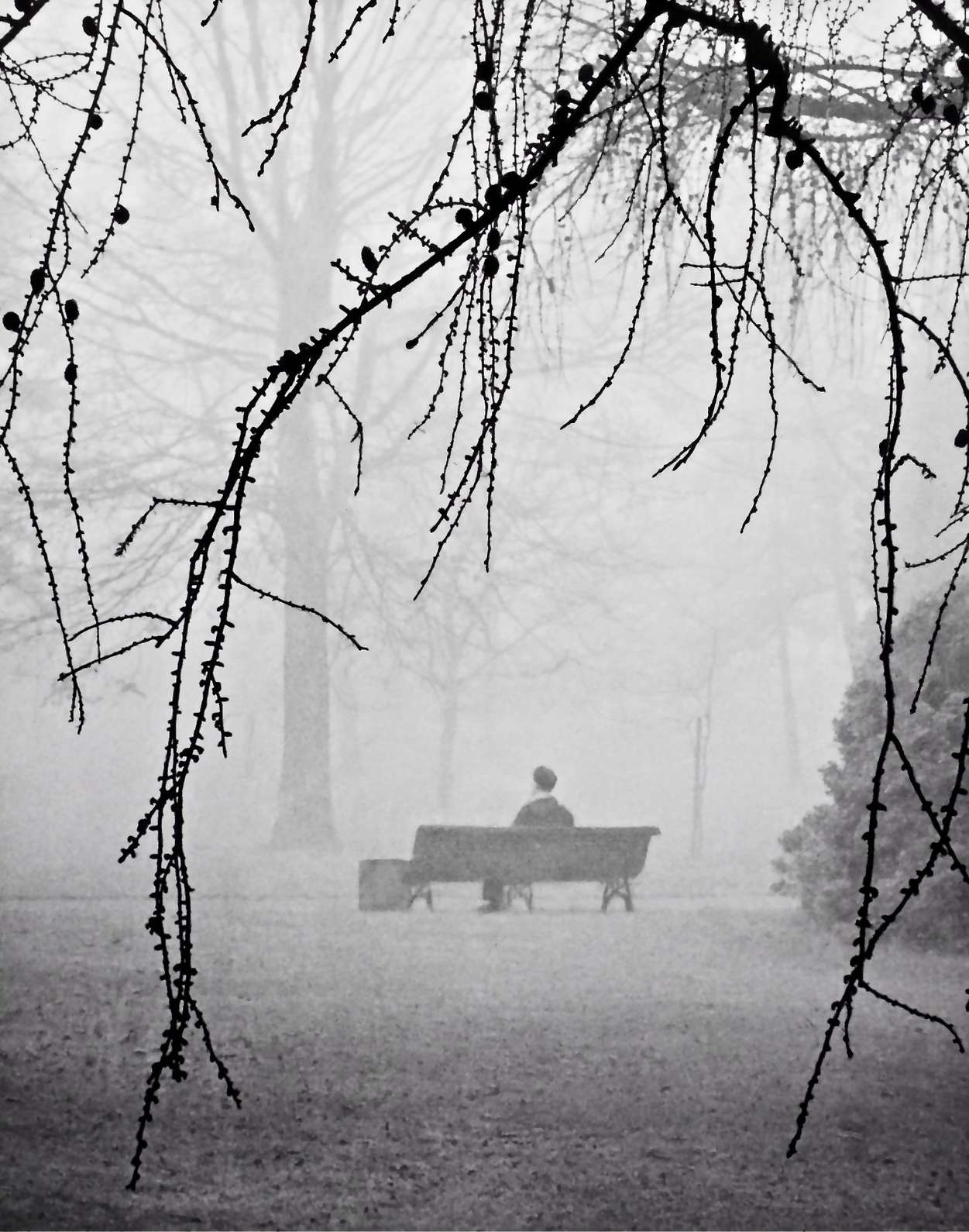 IMG 0010Copy19 44 55