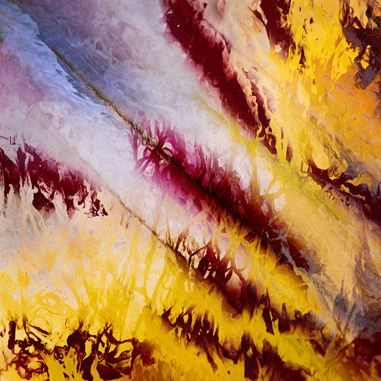 David Harris ARPS 1