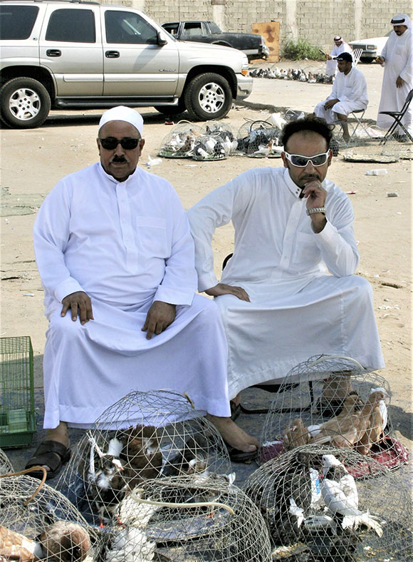 Pigeon Sellers, Qatif Market, KSA