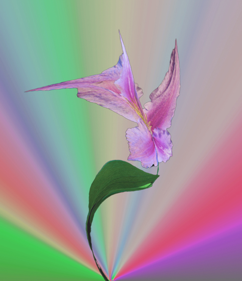 2511 Carol Walker Rainbow Flower