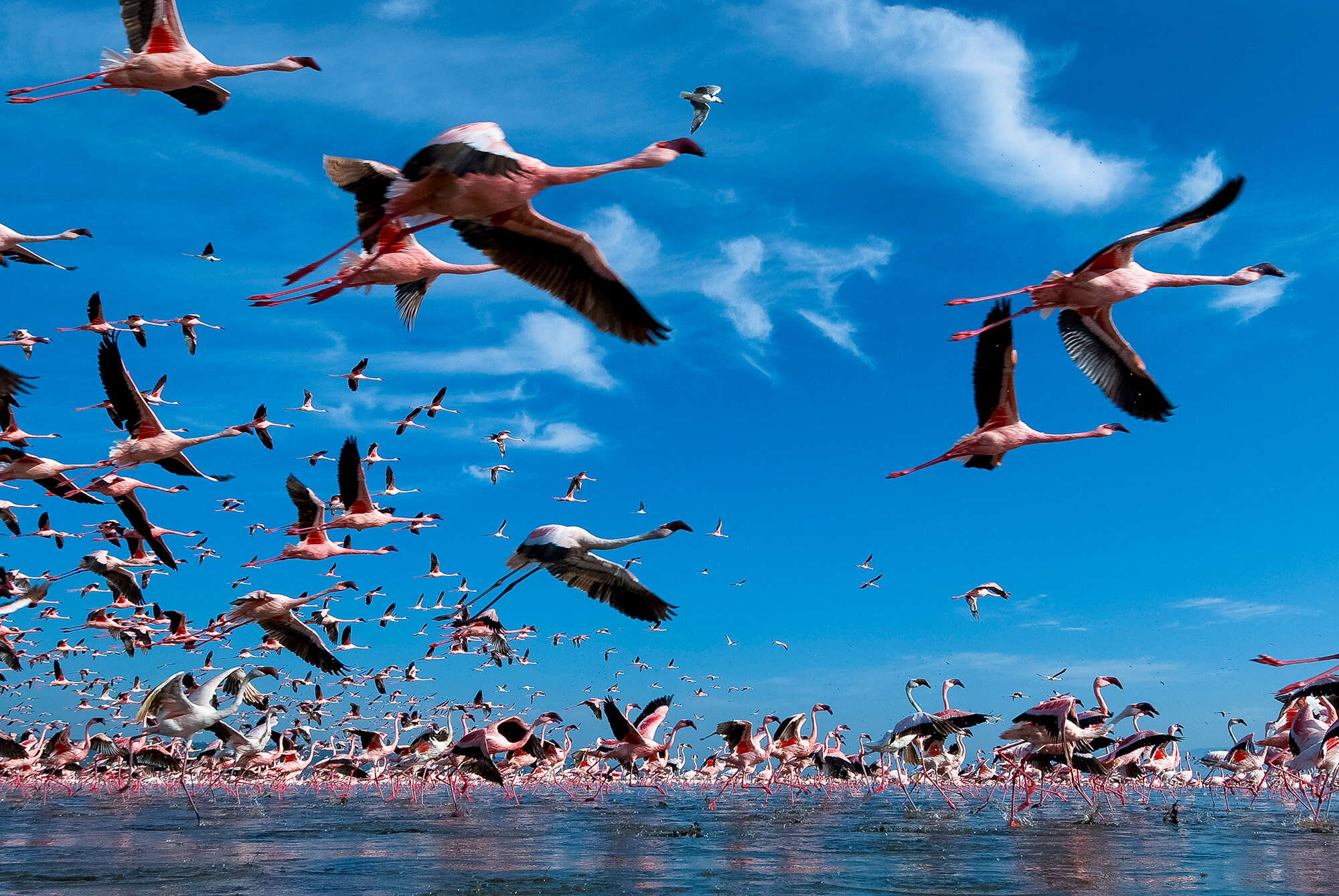 Credit Shem Compion. The Rift 42