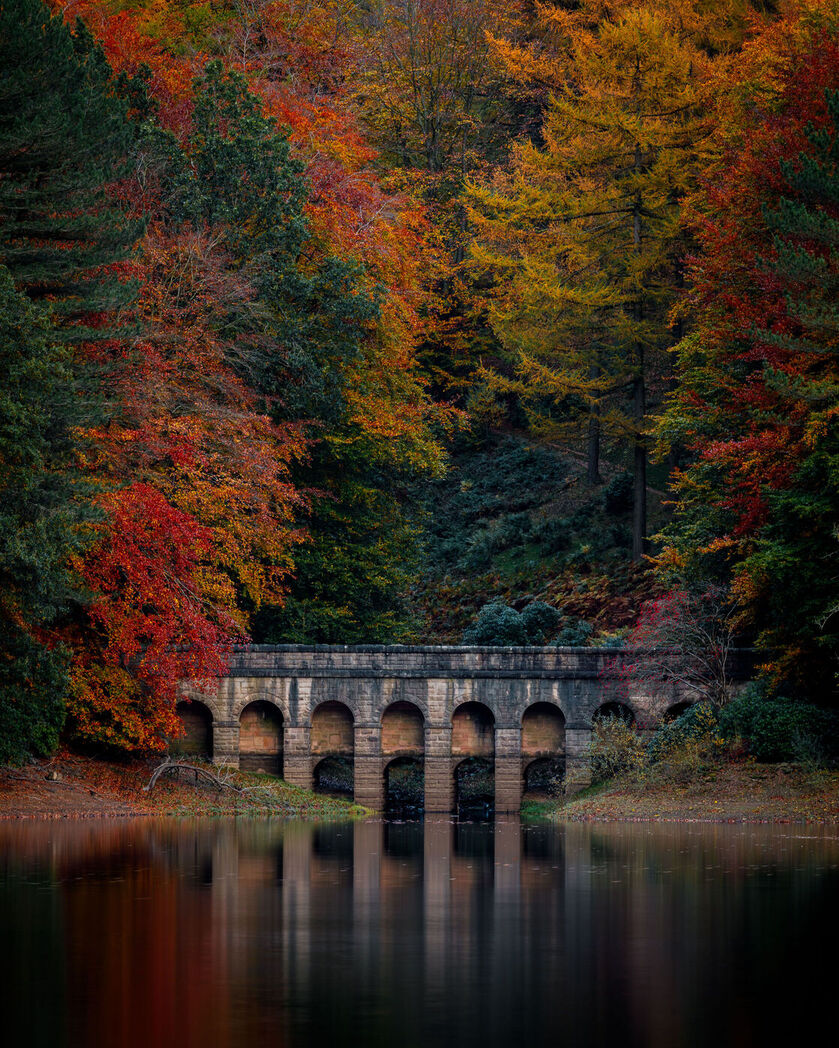 20241027 IMG 0008 Jpg 2 2