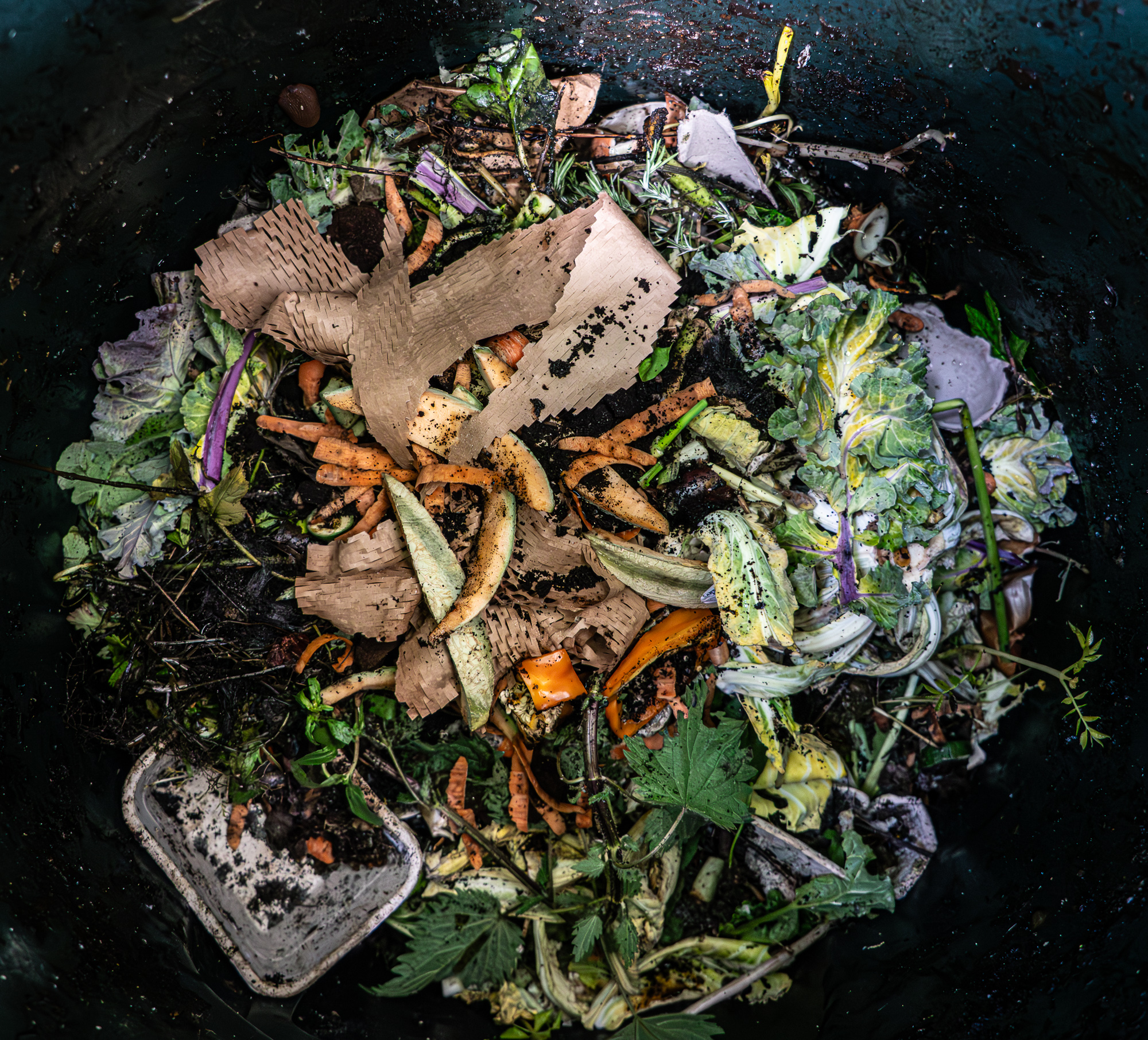 5555065 Louise Knaresborough Lrps Compost